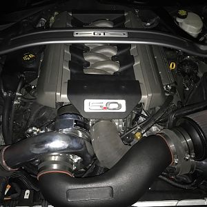 2016 MUSTANG GT PP PAXTON NOVI 2200.JPG (2)