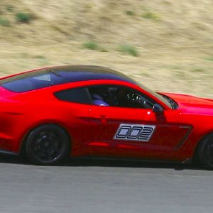 1jessieGT350