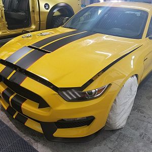 PPF FRONT