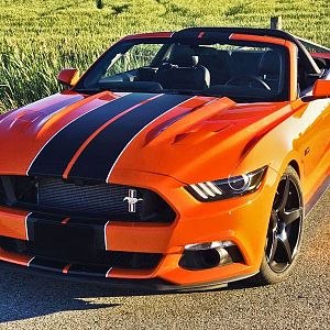 mustang410 1