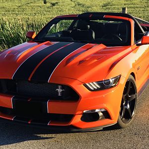 mustang2 2