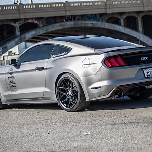 mustang pic 2