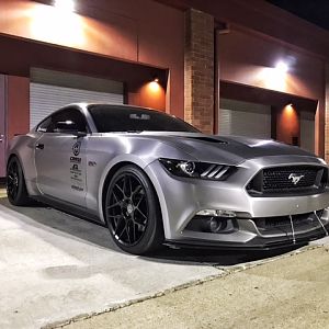 mustang pic 4