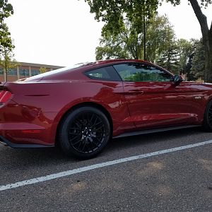 The PP deletes the rear spoiler. I was going to do a GT350 spoiler but the more I drive it the more I like it without the spoiler.