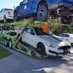 transporter