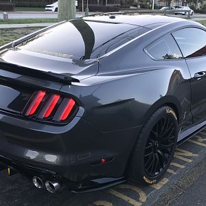 Rear