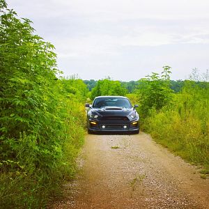 rsz 2