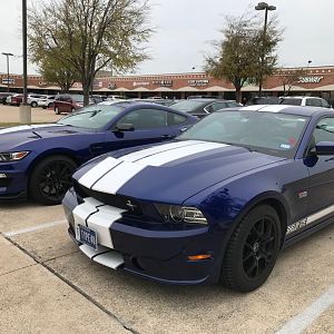 Found this guy @ starbucks one day, Shelby GTS