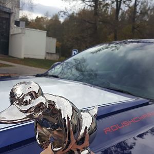 Mad Duck Roush