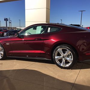 Royal Crimson 3