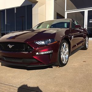 Royal Crimson 2
