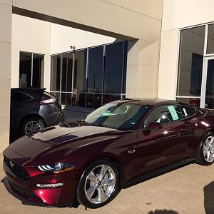Royal Crimson