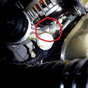 oil pressure sensor2