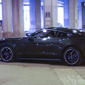 IMG 2986