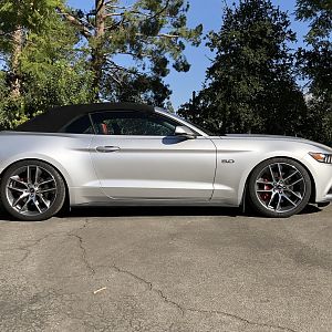 Steeda Progressive Springs (with pro action shocks/struts, front and rear sways, bumpsteer kit, IRS upgraded bushing)