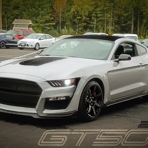 GT500