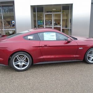 18 Mustang Ruby Red Luster Nickel