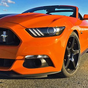 mustang3 1