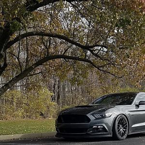 FallPic2017