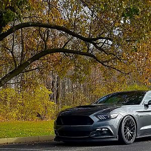 FallPic2017_2