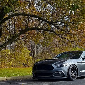 FallPic2017_3