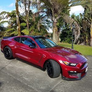 Beast
