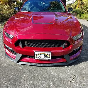 Snake Face