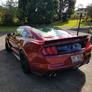 Shelby Pipes