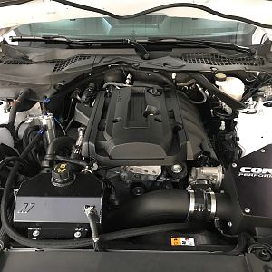 Current Engine Bay