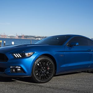 Mystang by the water