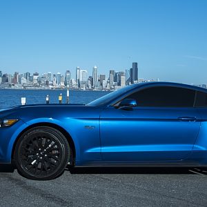 Mystang with Seattle in the background