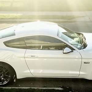 White PP2