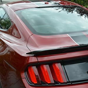 Rear
