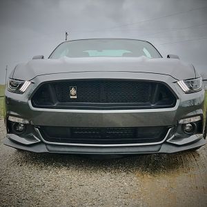 GT/PP front chin lip & Custom Grille