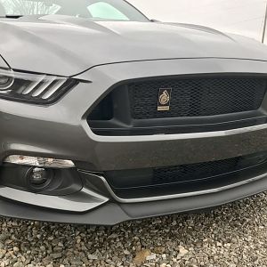 GT/PP front chin lip & Custom Grille