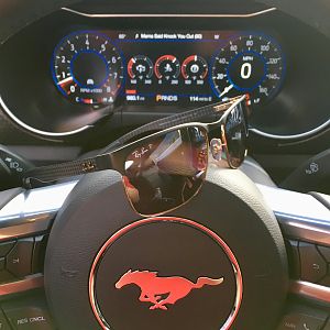 New car, new matching shades