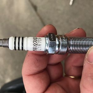 NGK PLUG