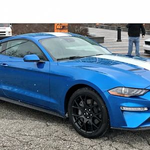 Velocity Blue