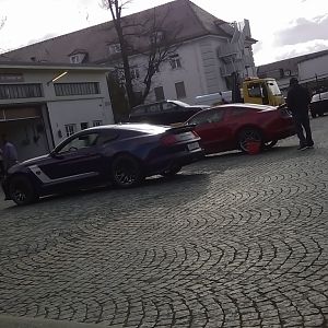 Cleaning Stangs