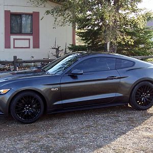 mustangfirstwash 010