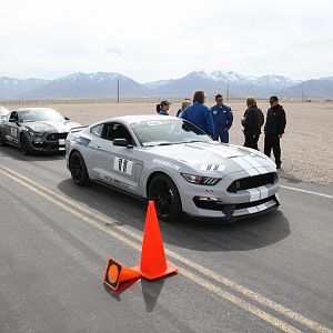 lineup