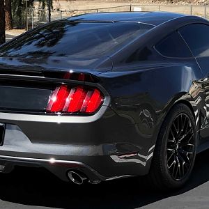 My Mustang LI