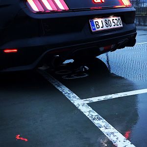 X lume ass