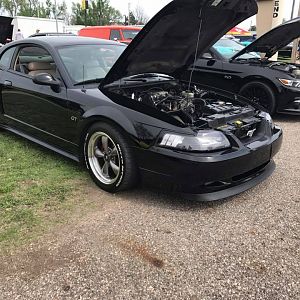 Car show Mustangs