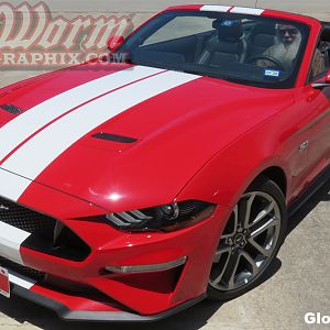 2018 Convertible Narrow Full Length Stripes in Gloss White
https://www.bigwormgraphix.com/2018-mustang-narrow-dual-full-length-stripes.html