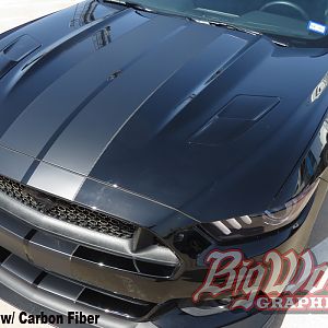 2015-17 matte black w/cf pinstripe narrow dual
https://www.bigwormgraphix.com/2015-17-mustang-narrow-dual-full-length-stripes.html