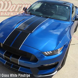Gloss Black w/gloss white pinstripes
https://www.bigwormgraphix.com/2015-17-gt350-full-length-stripes.html