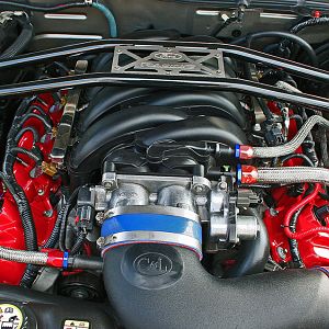 2005 Mustang GT350 (Tribute)