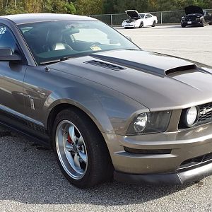 2005 Mustang GT350 (Tribute)