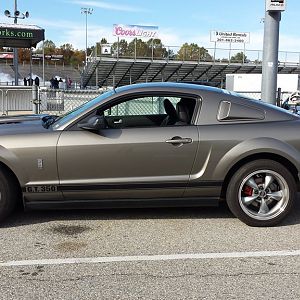2005 Mustang GT350 (Tribute)